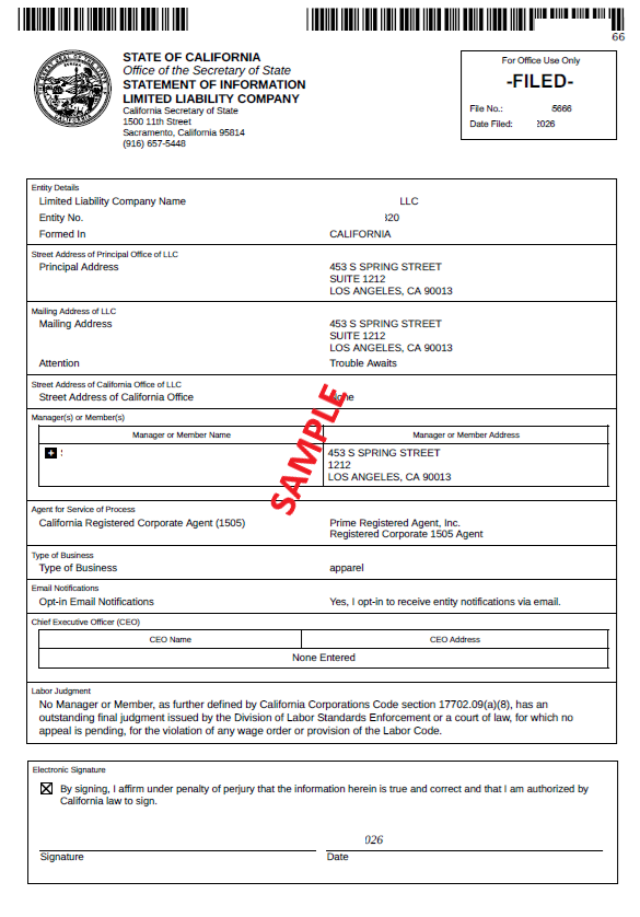 Statement of Information California Sample